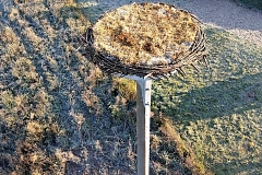 Blick aus der Luft auf den Storchenmast mit vorbereitetem Horst.